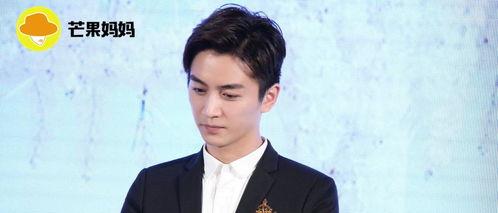 娱乐陈晓吃瓜图片大全,娱乐圈独家揭秘