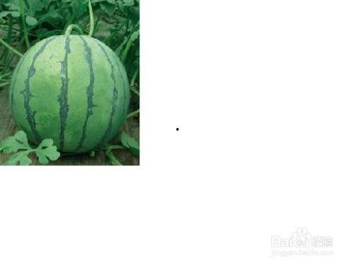 最新吃瓜事件,神秘恋情曝光，明星夫妻疑分手