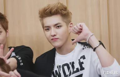 吃瓜娱乐圈任豪是谁,娱乐圈新晋“瓜王”的崛起之路