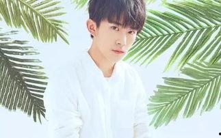 娱乐吃瓜妹易烊千玺微博