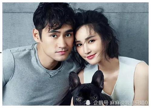 黄瓜娱乐圈爆料吃瓜明星,娱乐圈黄瓜爆料，明星吃瓜大揭秘